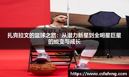 易倍体育官方网站