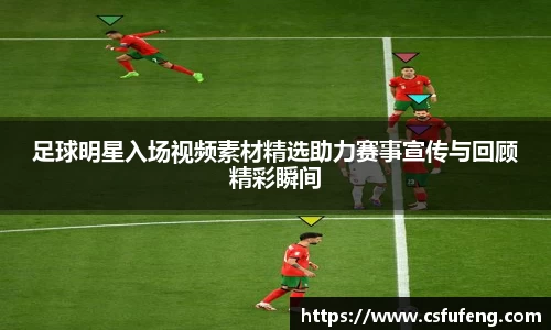 易倍体育EMC